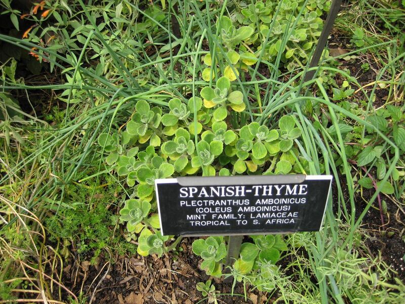 File:1280px-IMG 0743 bbg09.jpg