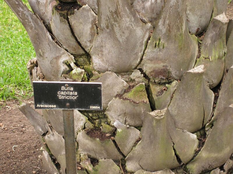 File:1280px-IMG 4019 hunt0904.jpg