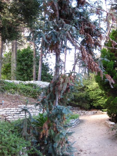 File:IMG 2606 ucla09.jpg