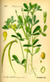Thumbnail for version as of 03:59, 24 September 2007