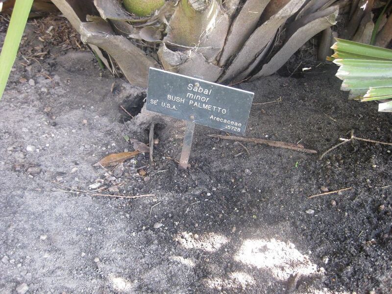 File:1024px-IMG 2123 hunt0903.jpg