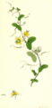 Thumbnail for version as of 09:12, 29 April 2025
