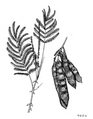 Thumbnail for version as of 09:39, 29 April 2025
