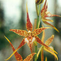 Thumbnail for version as of 13:14, 2 May 2007