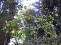 Thumbnail for version as of 10:35, 29 April 2025