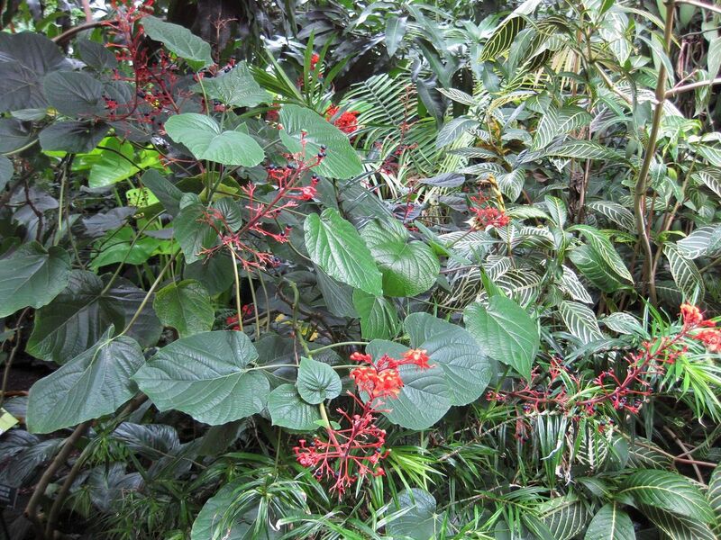 File:1280px-IMG 1151 bbg09.jpg