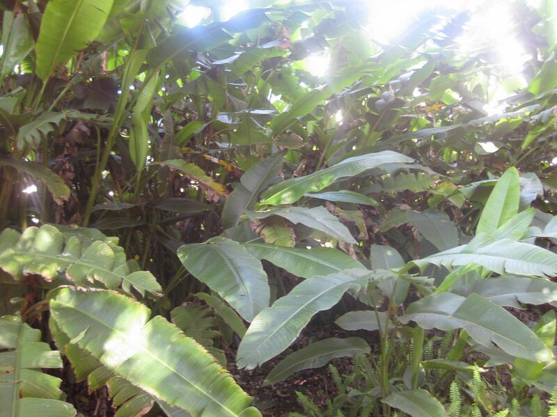 File:1280px-IMG 2004 hunt0903.jpg