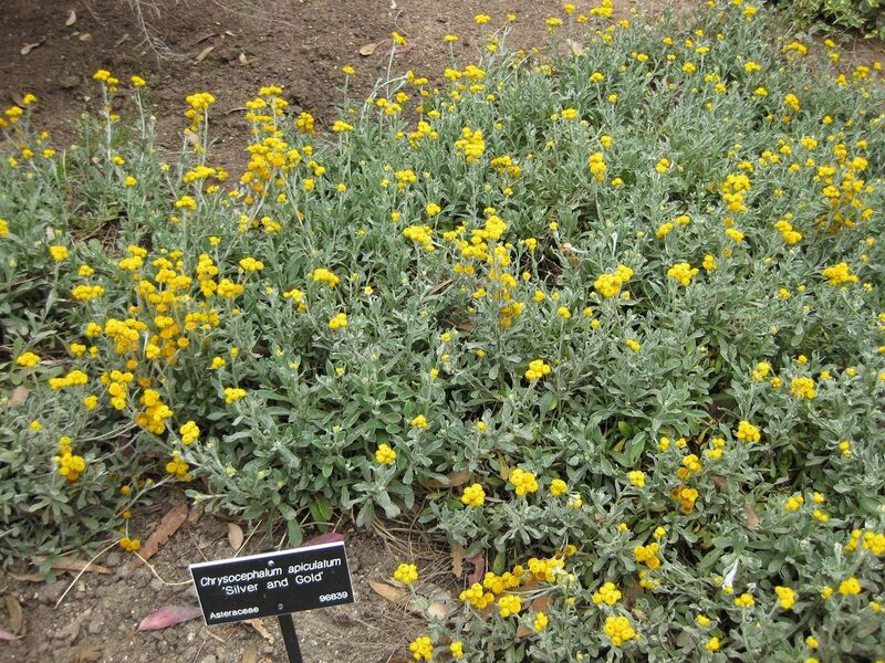 File:1280px-IMG 5095 hunt0904.jpg