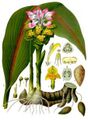 Thumbnail for version as of 10:31, 29 April 2025