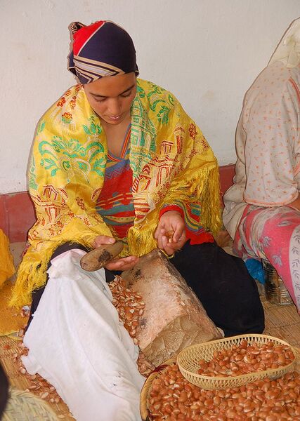 File:729px-Maroc Essaouira argane oil Luc Viatour 1.JPG