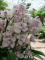 Thumbnail for version as of 09:47, 4 July 2007