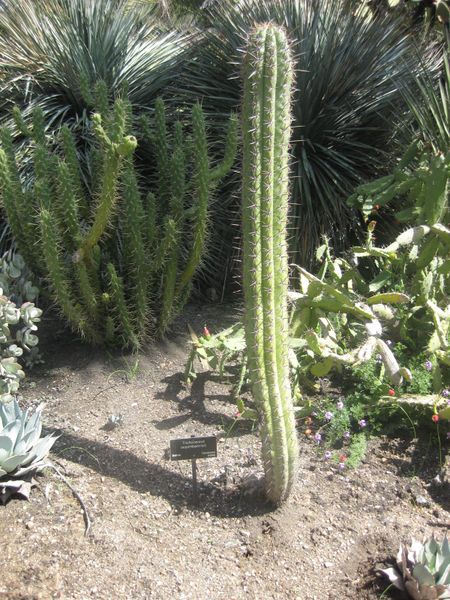 File:IMG 2290 hunt0903.jpg