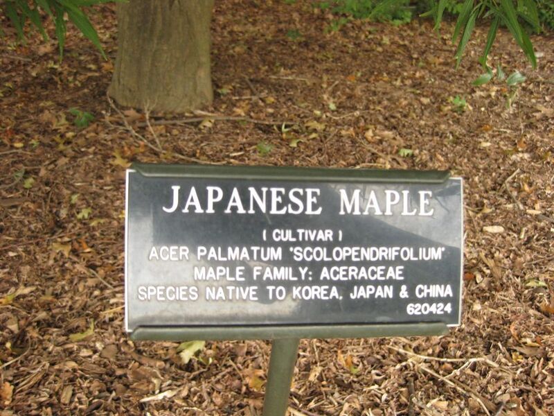 File:1024px-IMG 1428 bbg09.jpg