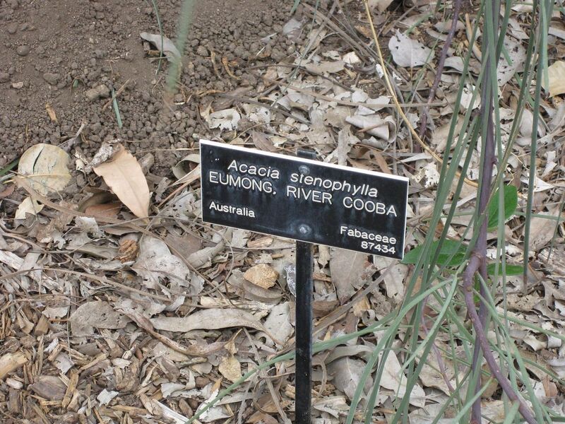 File:1280px-IMG 4797 hunt0904.jpg