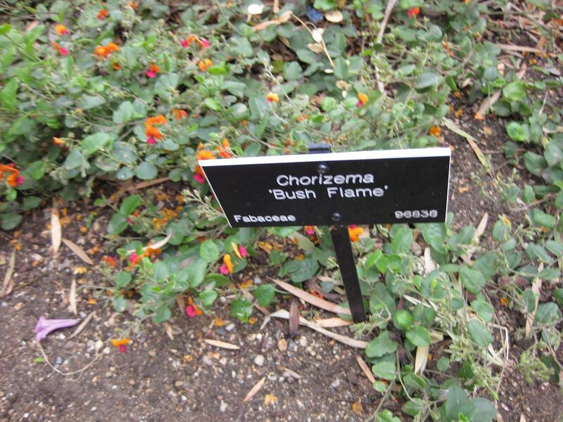 File:1280px-IMG 5056 hunt0904.jpg