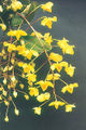 Thumbnail for version as of 10:36, 4 July 2007