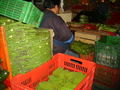 Thumbnail for version as of 16:18, 26 September 2007
