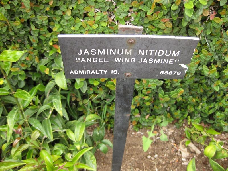 File:1280px-IMG 6814 hunt09jun.jpg