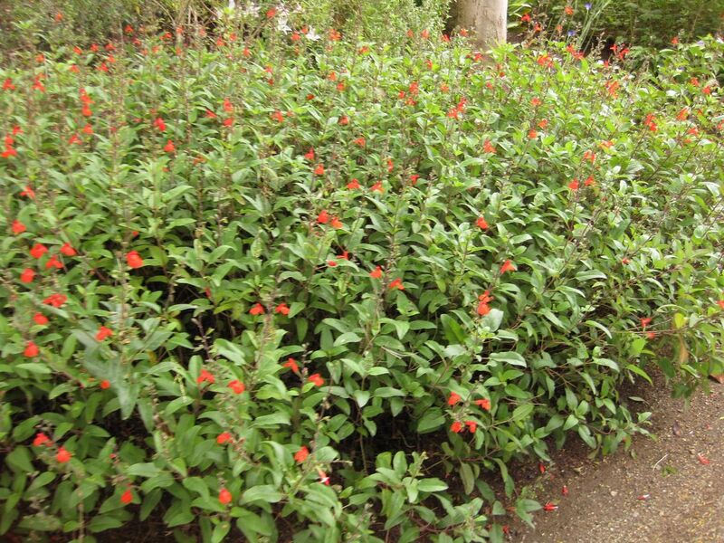 File:1280px-IMG 7055 hunt09jun.jpg