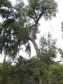 Thumbnail for version as of 10:26, 29 April 2025