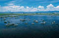 Thumbnail for version as of 07:19, 18 July 2007