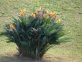 Thumbnail for version as of 09:09, 29 April 2025