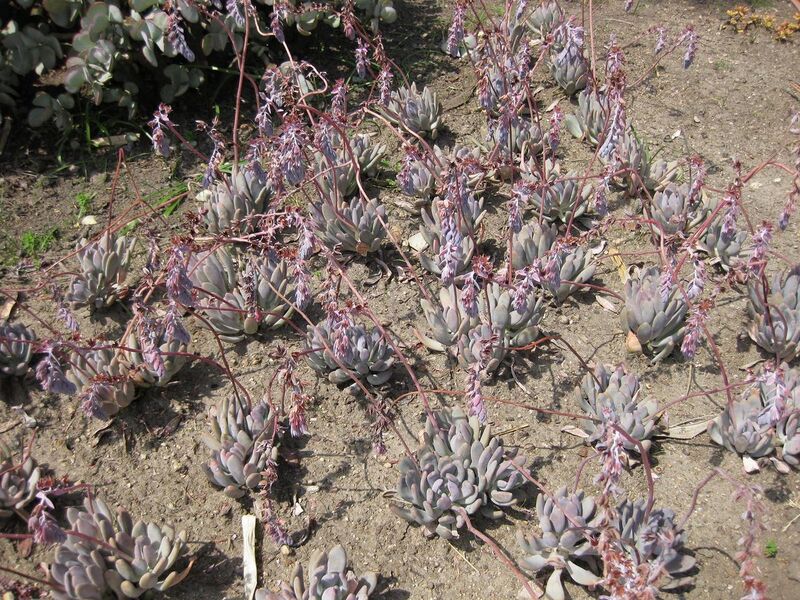 File:1280px-IMG 4217 hunt0904.jpg