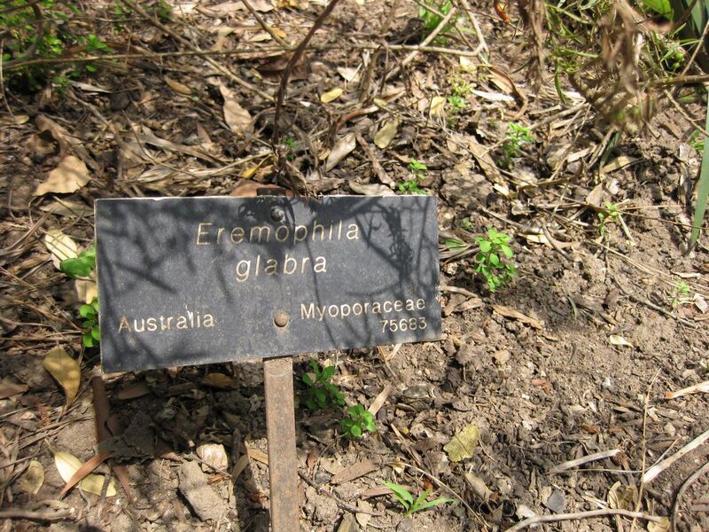 File:1280px-IMG 4595 hunt0904.jpg