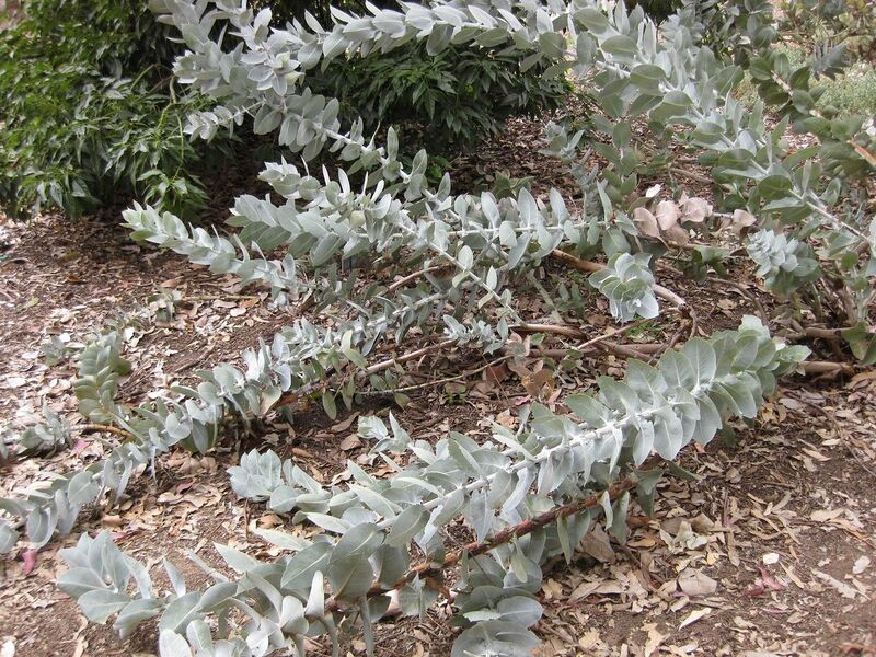 File:1280px-IMG 4872 hunt0904.jpg