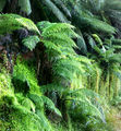 Thumbnail for version as of 12:34, 20 May 2007