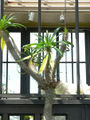Thumbnail for version as of 05:20, 30 September 2007