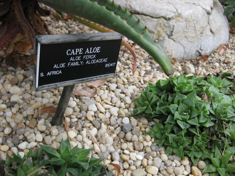 File:1280px-IMG 1265 bbg09.jpg