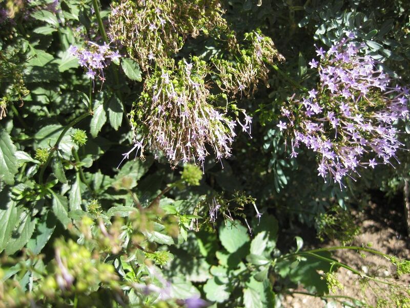 File:1280px-IMG 1850 hunt09oct.jpg