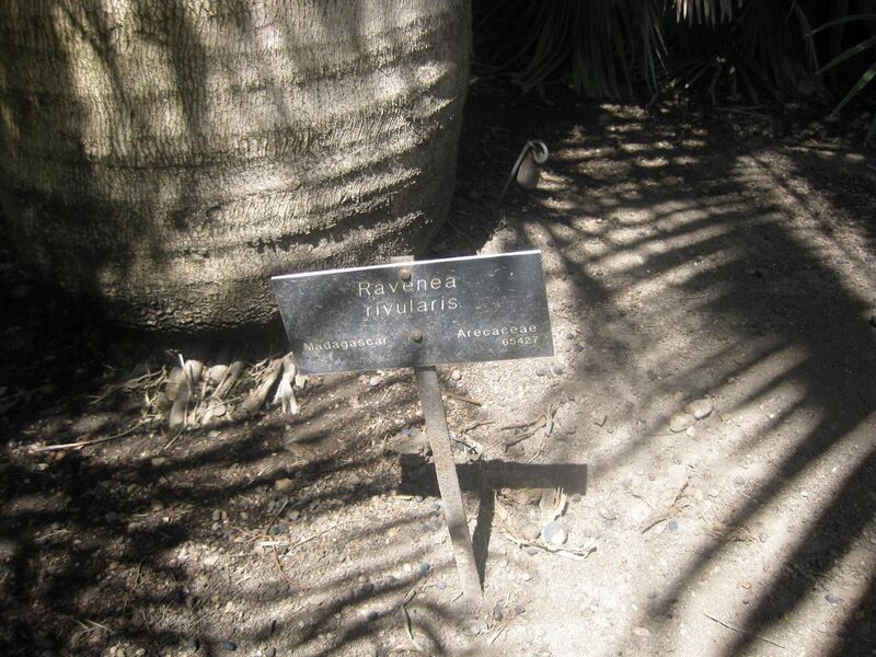 File:1280px-IMG 2089 hunt0903.jpg