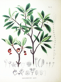 Thumbnail for version as of 09:29, 29 April 2025