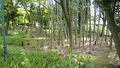 Thumbnail for version as of 16:39, 1 October 2007