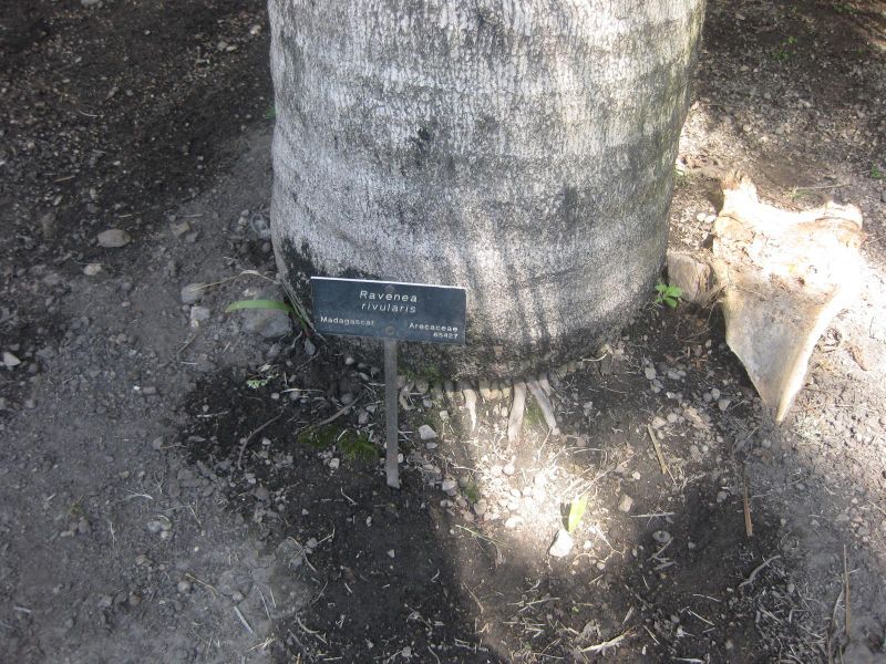 File:IMG 2093 hunt0903.jpg