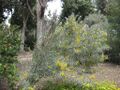 Thumbnail for version as of 10:02, 29 April 2025