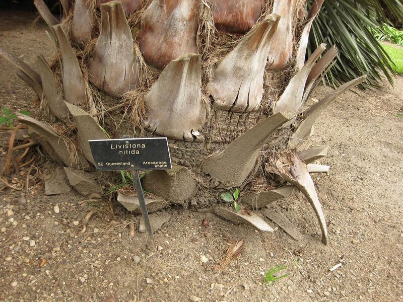 File:1280px-IMG 4004 hunt0904.jpg