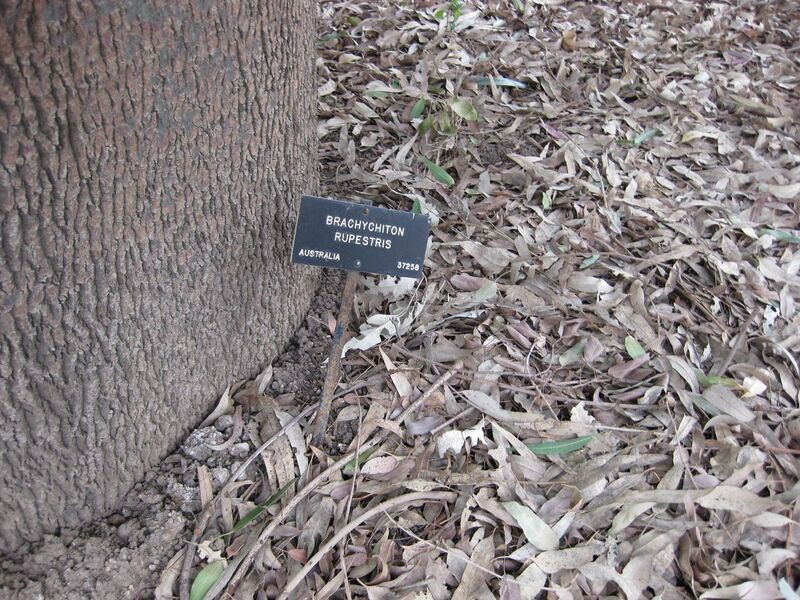 File:1280px-IMG 4886 hunt0904.jpg