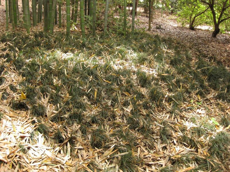 File:1280px-IMG 7226 hunt09jun.jpg