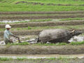 Thumbnail for version as of 14:27, 7 May 2007
