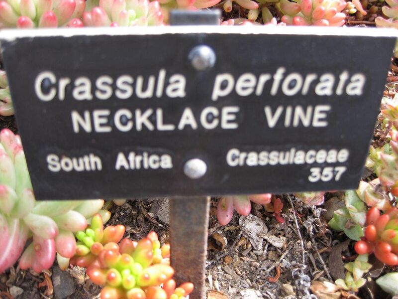 File:1280px-IMG 4282 hunt0904.jpg