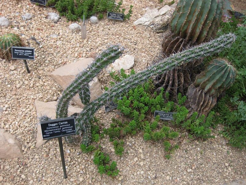 File:1280px-IMG 1296 bbg09.jpg