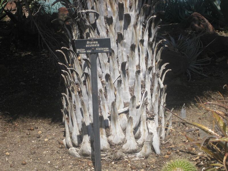 File:1280px-IMG 2195 hunt0903.jpg