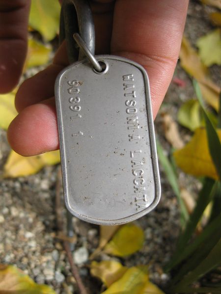 File:IMG 5158 hunt0904.jpg