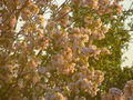Thumbnail for version as of 06:14, 16 September 2007