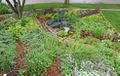 Thumbnail for version as of 23:00, 23 September 2010