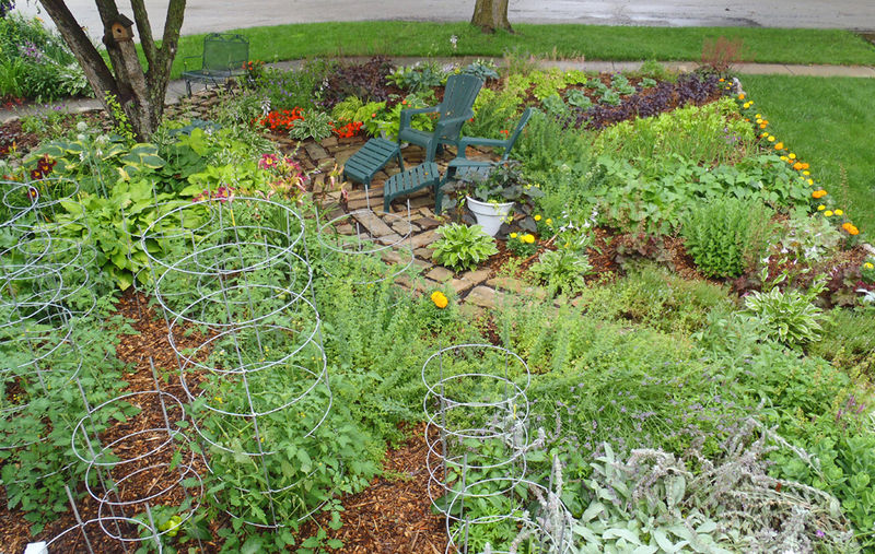 File:Thecasualgardener-frontyard-veggie-garden.jpg