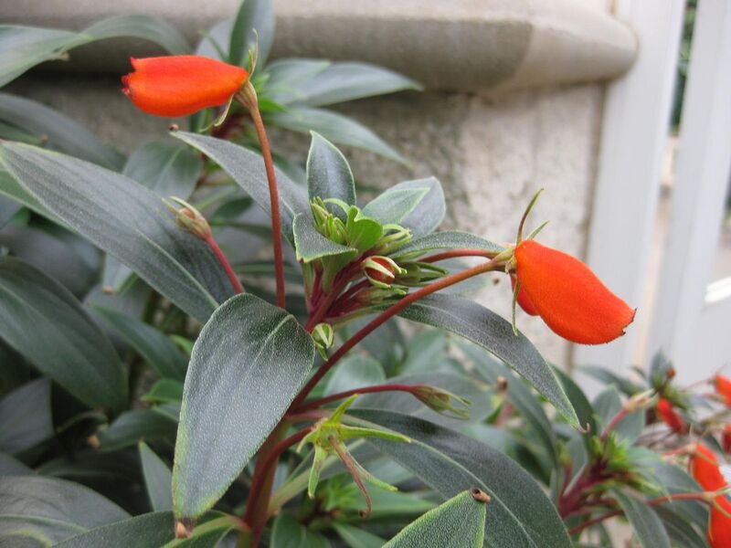 File:1280px-IMG 1820 hunt09oct.jpg